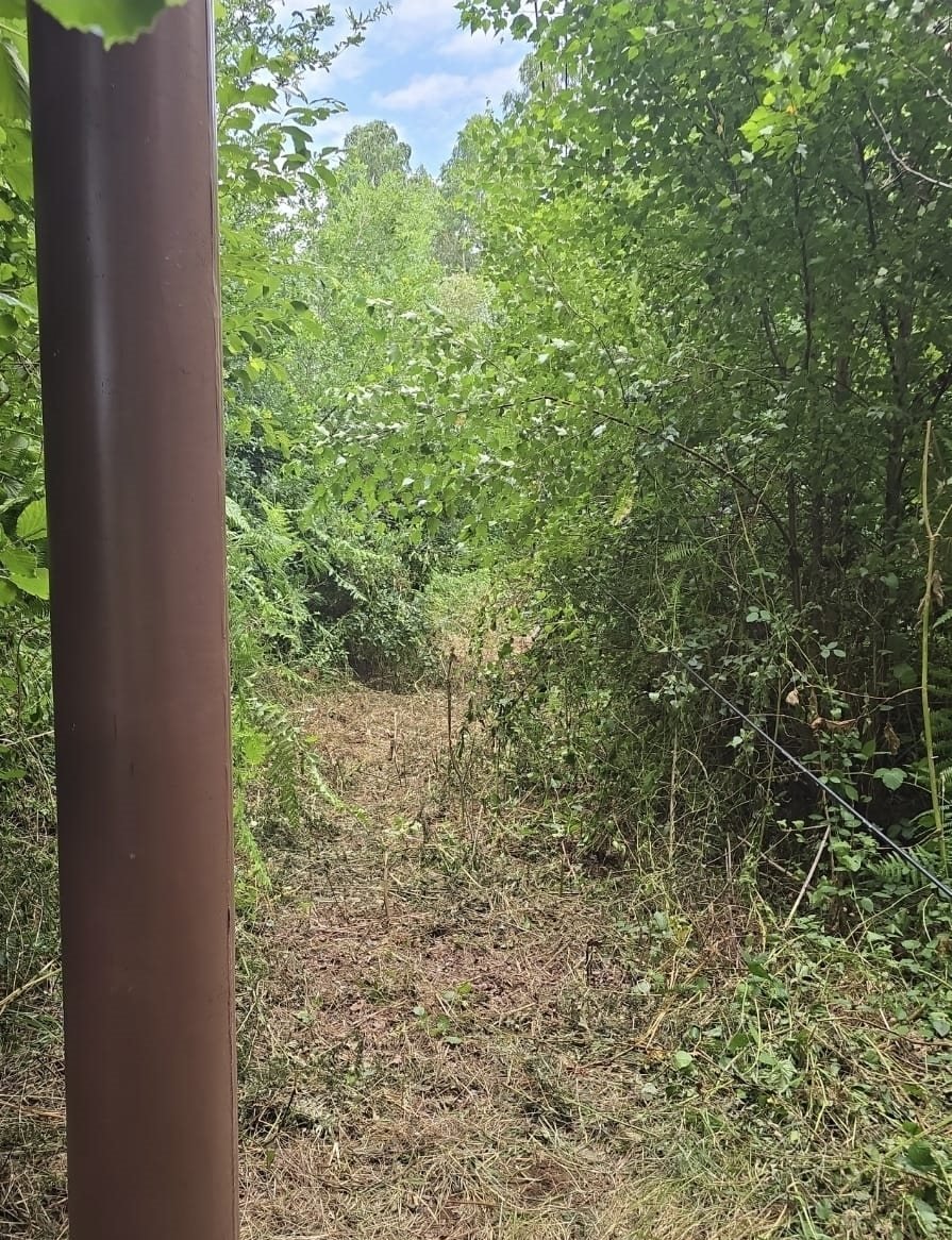 Limpeza de liñas eléctricas e telefónicas en Galicia